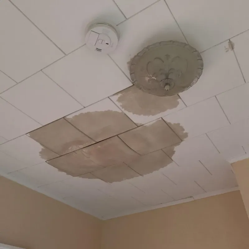 Ceiling Water Damage Repair in Somerset County, NJ